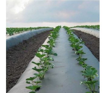 plastic mulching for perfect cropping