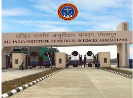  all india institute of medical sciences (aiims), recruitment 2022
