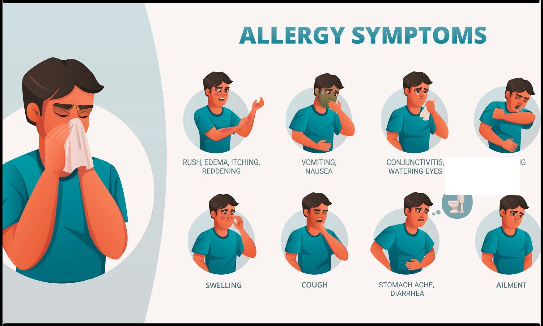 immunity understanding inflammation, autoimmunity, allergy and transplantation