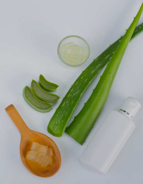 aloe vera nature’s treasure