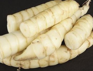 the medicinal tuber arrowroot