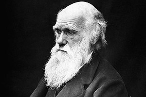 understanding darwin