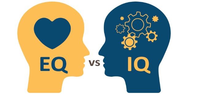 eq is as important as iq