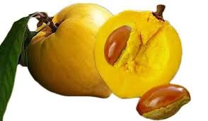 the protein fruit egg fruit