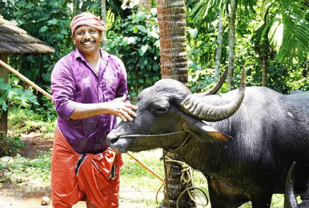 sivananda in the ‘ananda loka’ of agriculture