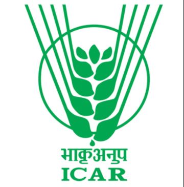 cicar dogr pune recruitment 2014 technical assistant