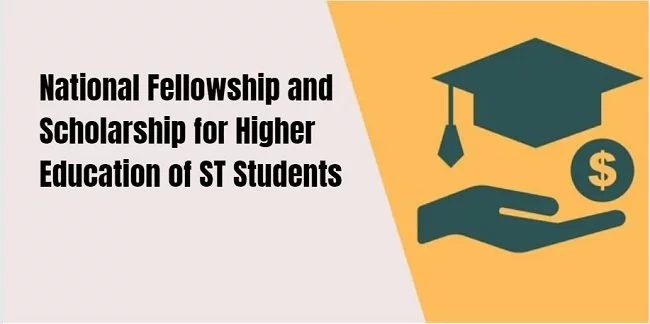 national fellowship and scholarship for higher education of st students