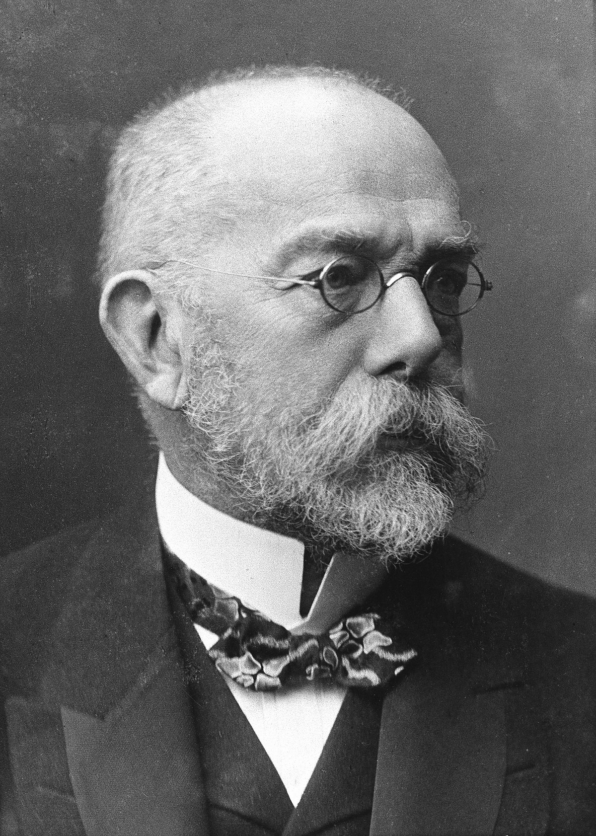 robert koch founder of modern bacteriology