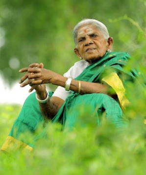 saalumarada thimmakka the mother of trees