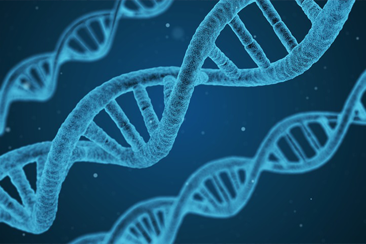 tweak your iqs and eqs to live up to your dna!
