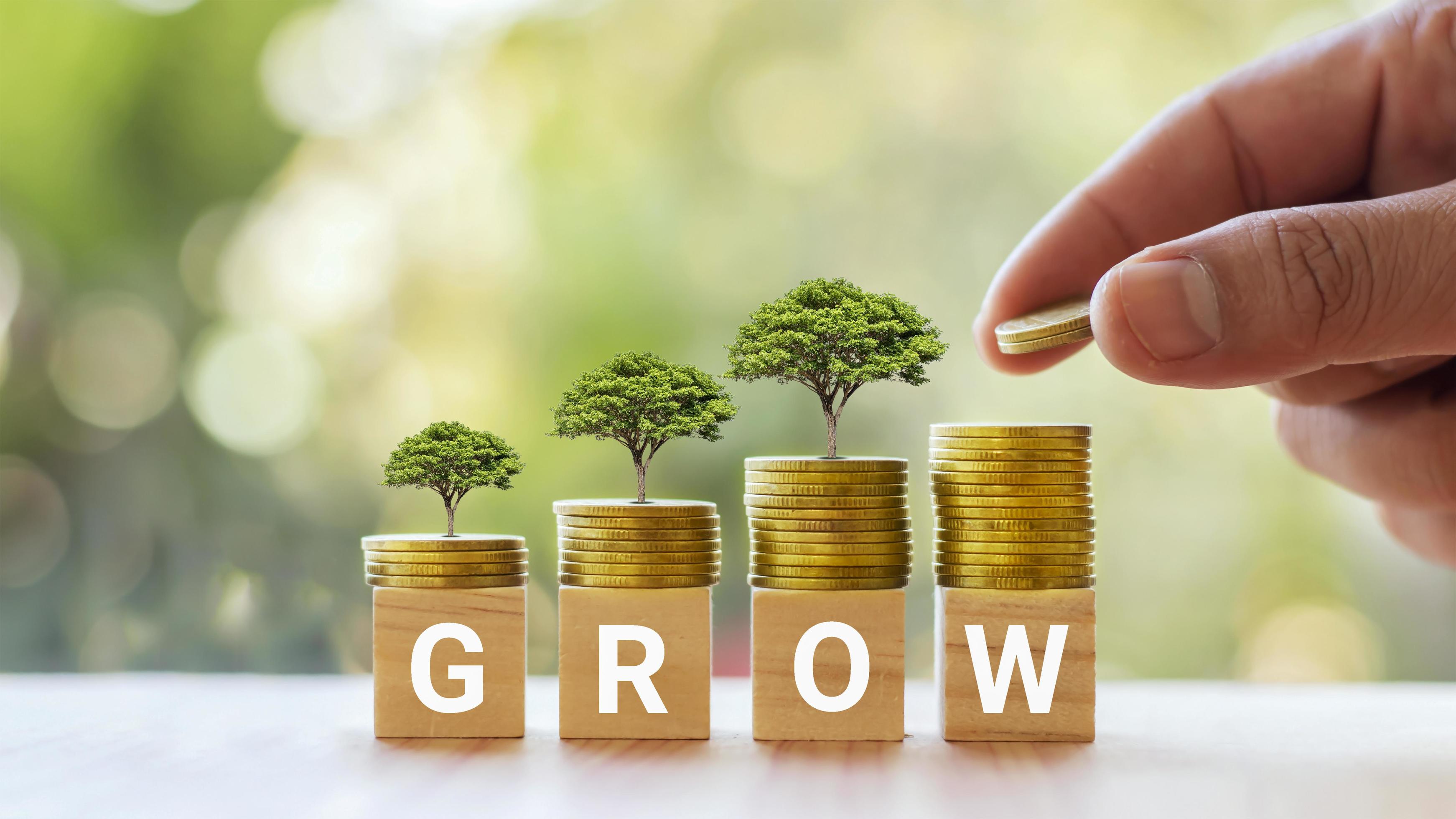 investing the smart way to grow money