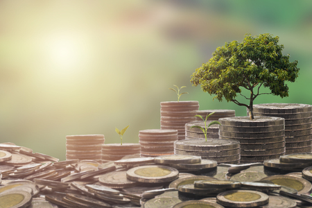 growing money on platters