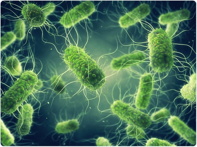 bacteria-understanding-these-micro-biofactories
