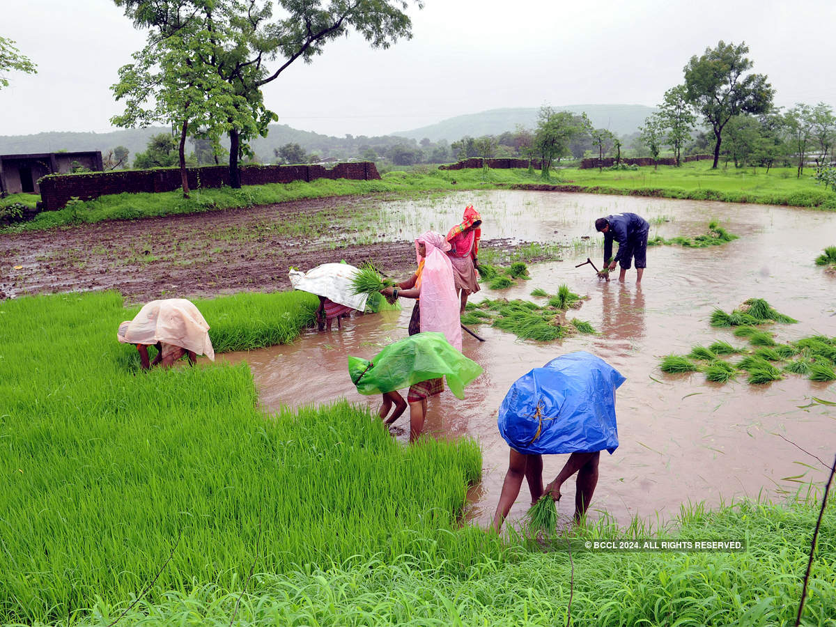 monsoon rains in india: influencing factors and their importance in indian agriculture
