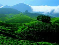 munnar’s timeless charms: a traveller’s delight