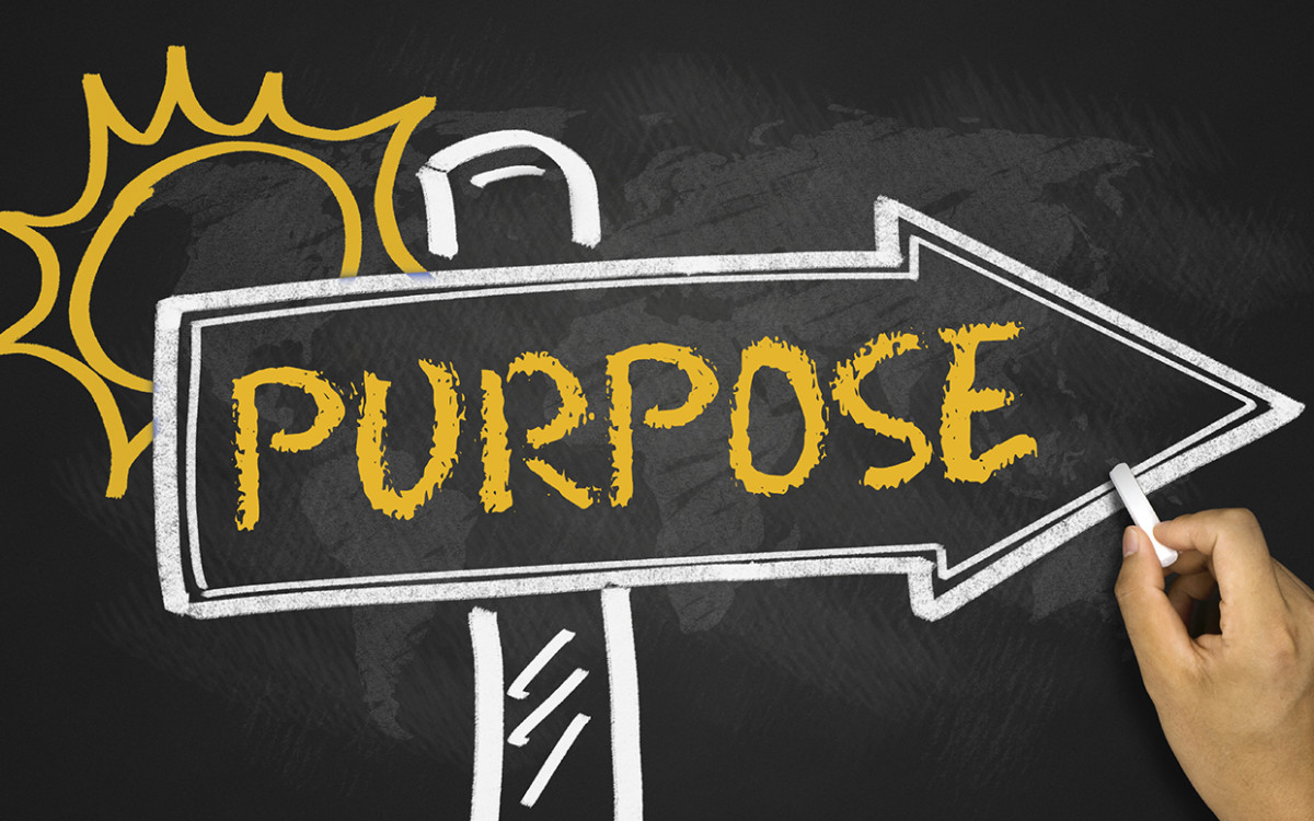 find your purpose and passion at work
