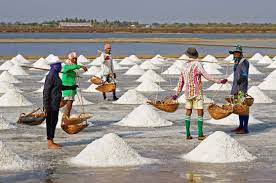 indian salt recruitment 2014