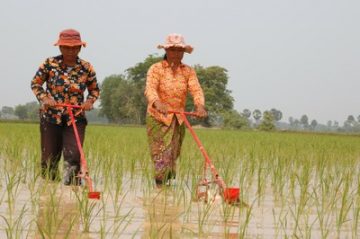 sabarmatee tiki meet the female conservationist who is turning barren land into a lush green food forest